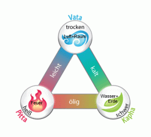 ayurvedadoshasdreieck