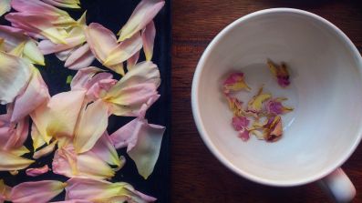 rolling-tiger ayurveda-therapie ayurveda-behandlung rosen-blaetter copyright by merle dietz