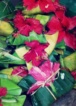 offering to kali in kalkutta copyright by julia wunderlich