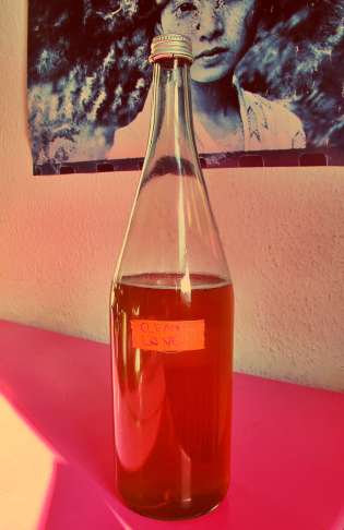 detox-drink kur-drink reinigungs-kur ayurveda-kur detox copyright by julia wunderlich