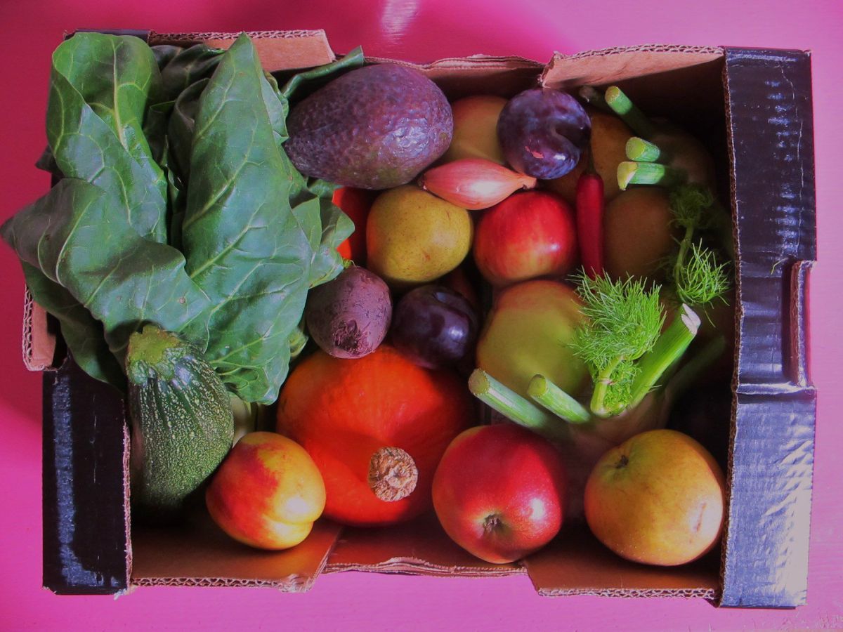 Neu erden und fokussieren im&nbsp;Herbst