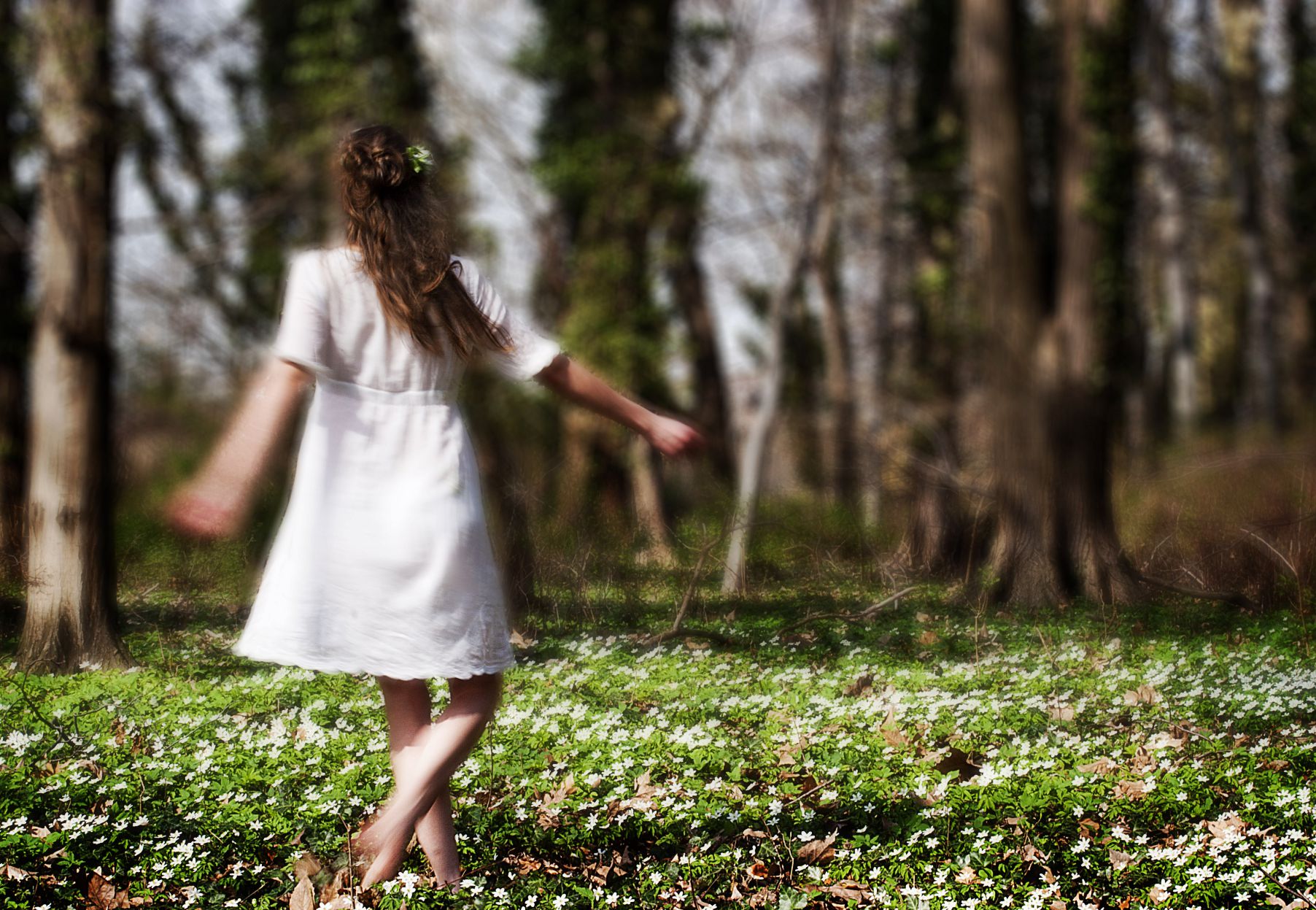 copyright david tully