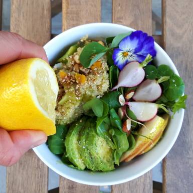 quinoasalat copyright julia wunderlich