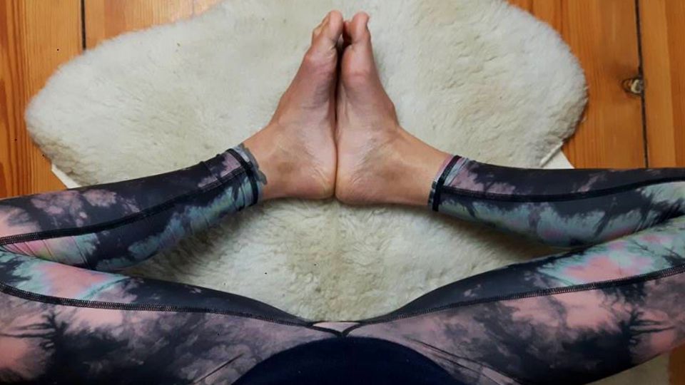 yoga ayurveda rolling tiger berlin