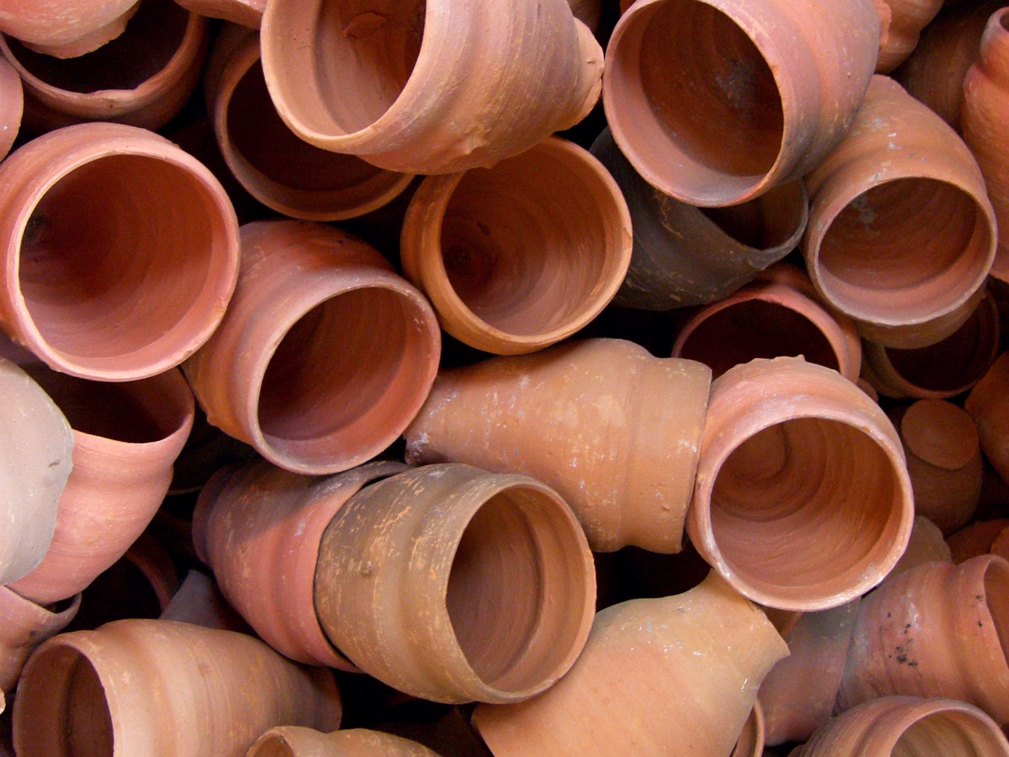 chai india rolling tiger.jpg