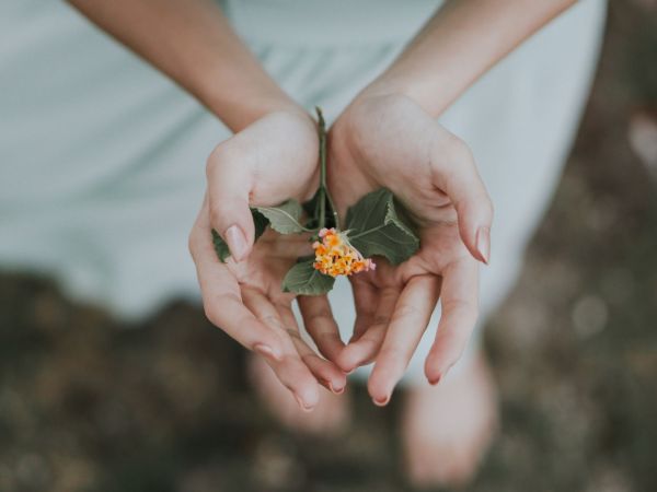 bobbo-sintes-500650-unsplash